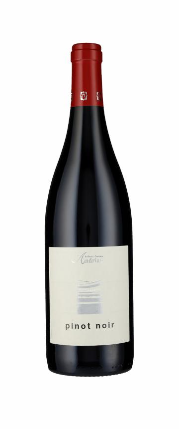 2015 Pinot Noir Alto Adige Cantina Andrian