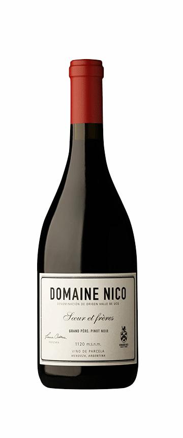 2018 Domaine Nico Grand Pére Pinot Noir Uco Valley