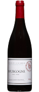 2019 Bourgogne Rouge Magnum Marquis d'Angerville